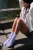 lavender3.png