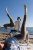 Beach2.png