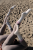 BEach4.png