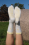 Butter balloon1.png