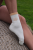 Seashell1.png